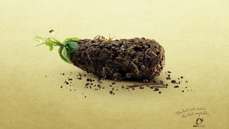 bio-suisse-earthy-veggies_eggplant