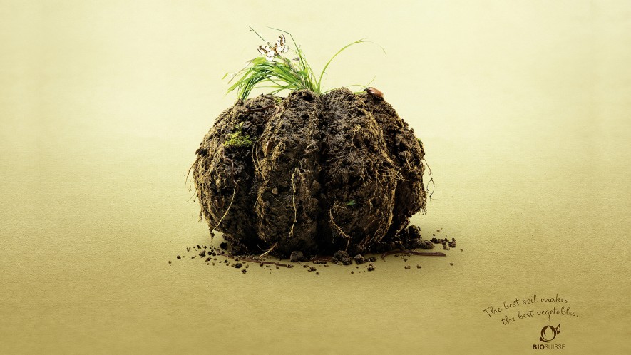 bio-suisse-earthy-veggies_pumpkin_1